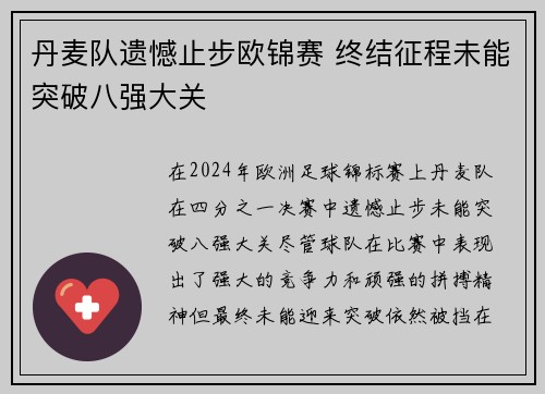 丹麦队遗憾止步欧锦赛 终结征程未能突破八强大关